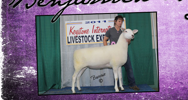 Benjamin Brothers Livestock